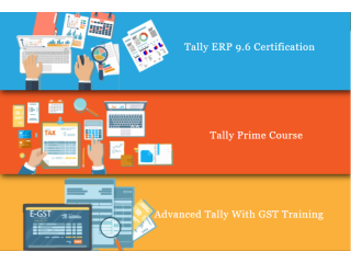 Tally Course in Delhi, NCR, 110031, SLA Accounting Institute, Taxation and Tally Prime Institute in Delhi, Noida,