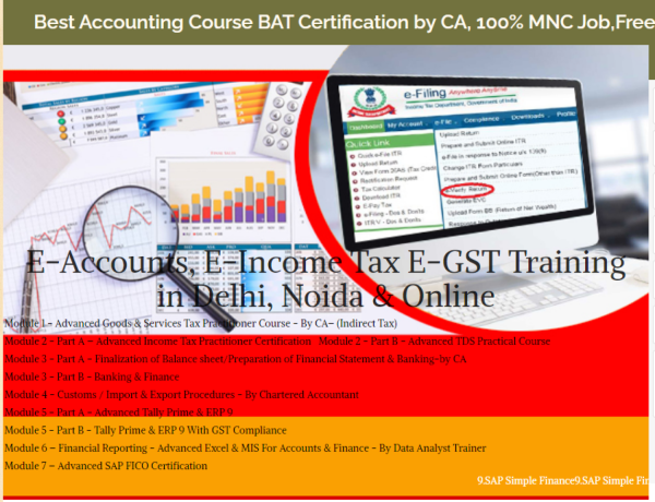 accounting-course-in-delhi110030-gst-update-2024-by-sla-accounting-institute-taxation-and-tally-erp-and-prime-institute-in-delhi-noida-big-0