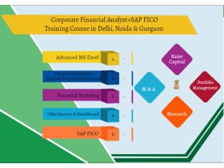 Financial Modelling Course in Delhi, 110046. Best Online Live Financial Analyst Training in Chennai by IIT Faculty , [ 100% Job in MNC]