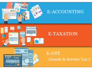 Accounting Course in Delhi, NCR 110003  by SLA Accounting Institute, Taxation and Tally Prime Institute in Delhi