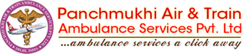 risk-free-patient-transfer-by-panchmukhi-air-ambulance-delhi-with-doctor-big-0