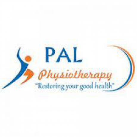 pal-physiotherapy-big-0